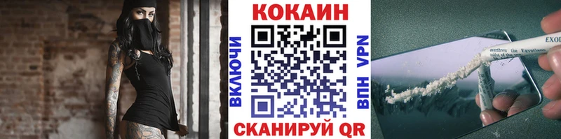 Купить  Сосновка  Cocaine VHQ 