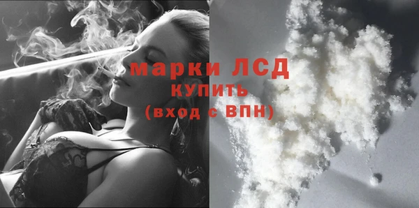гашик Горняк