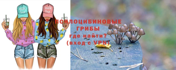 гашик Горняк