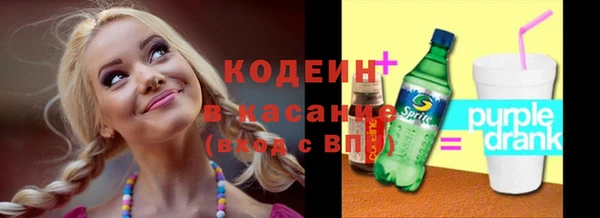 гашик Горняк