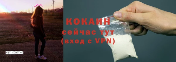 гашик Горняк