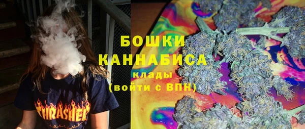 Альфа ПВП Горнозаводск