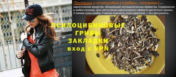 гашик Горняк
