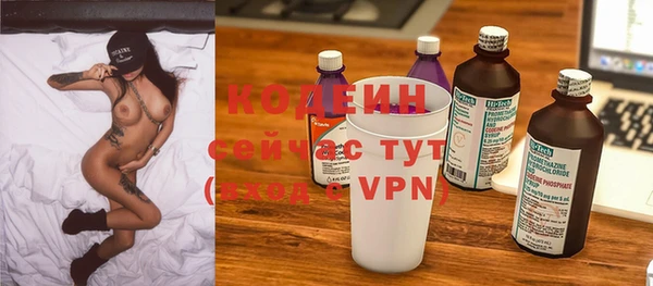 гашик Горняк