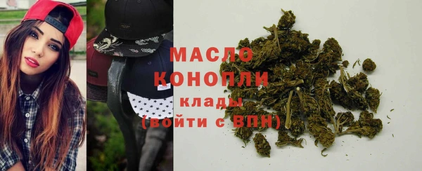 гашик Горняк