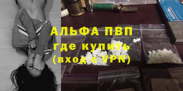 гашик Горняк